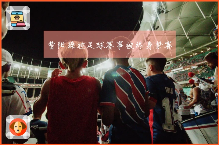 曹阳操控足球赛事被终身禁赛